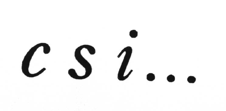 CSI.gif (24664 Byte)