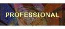 PROFESSIONAL